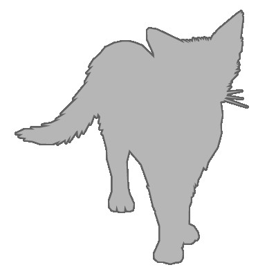 本文画像